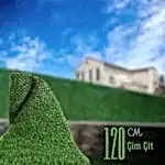 120 cm çim çit