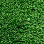 Lokisoft Grass Suni çim