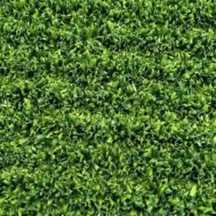 Non-Infill Grass