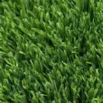 Omega Line Grass