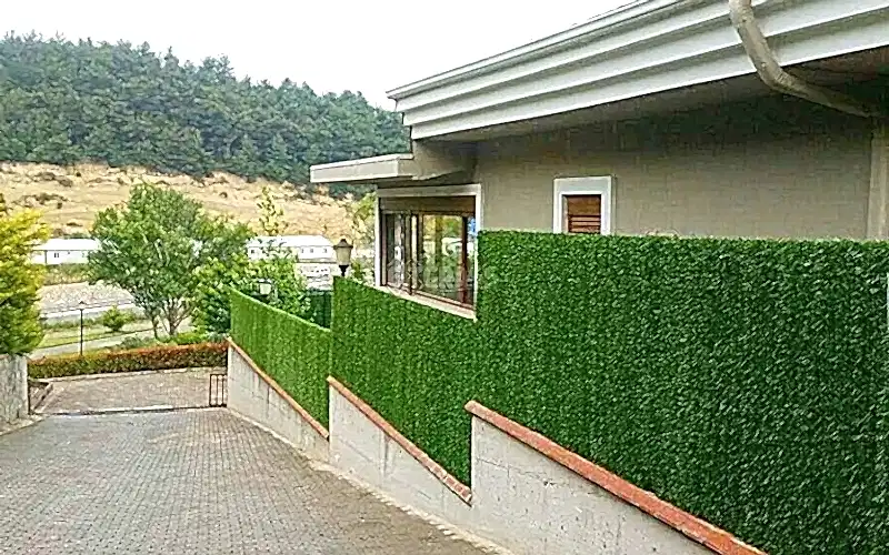 Profesyonel İpuçları ve Kurulumda Sık Yapılan Hatalar